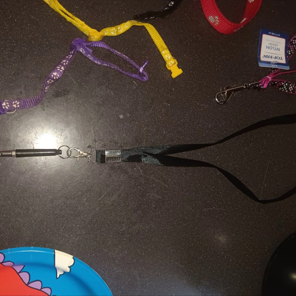 Leashes - Picture 12 of 15